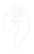 steps logo