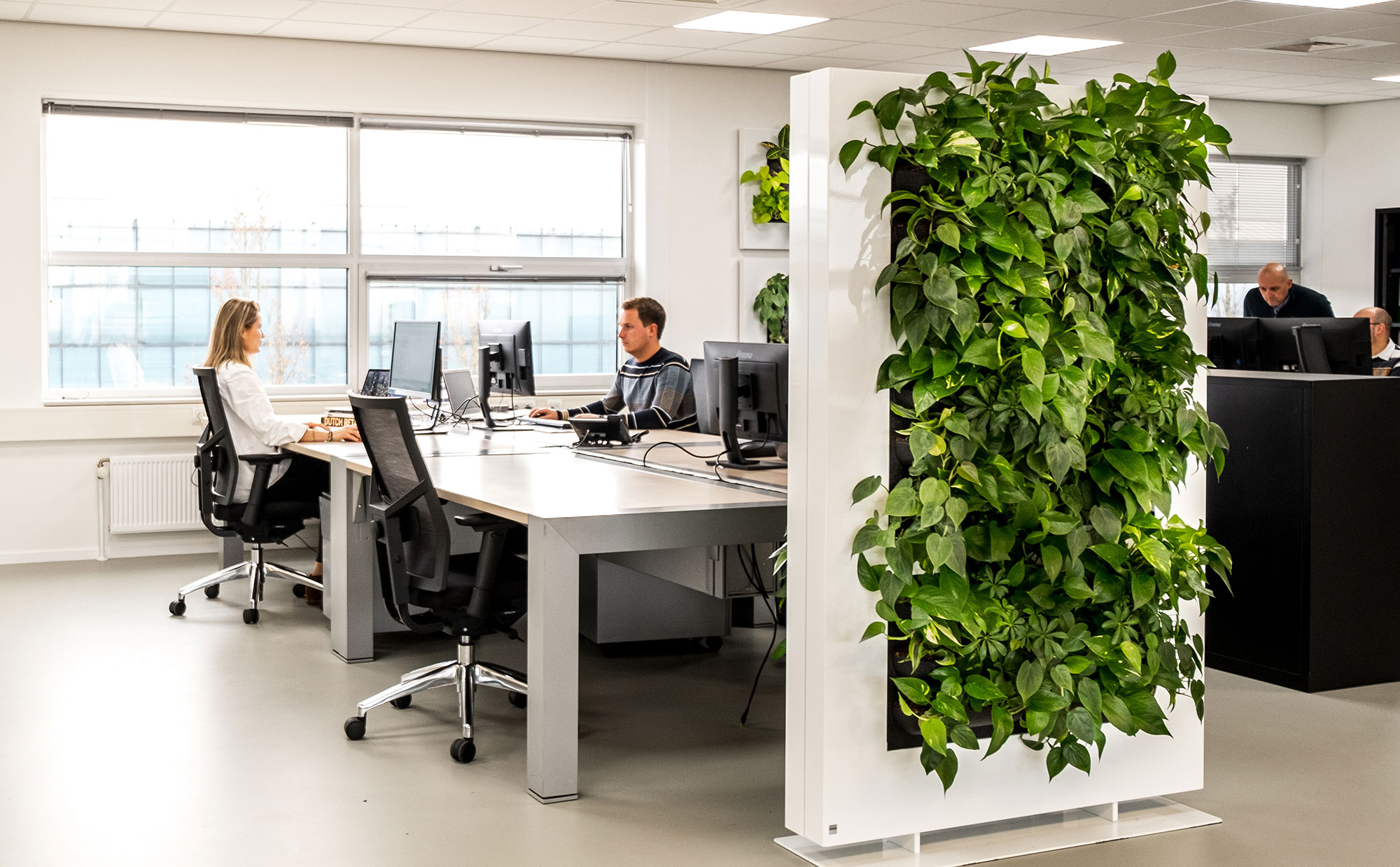 Mobilane-HQ-LivePicture