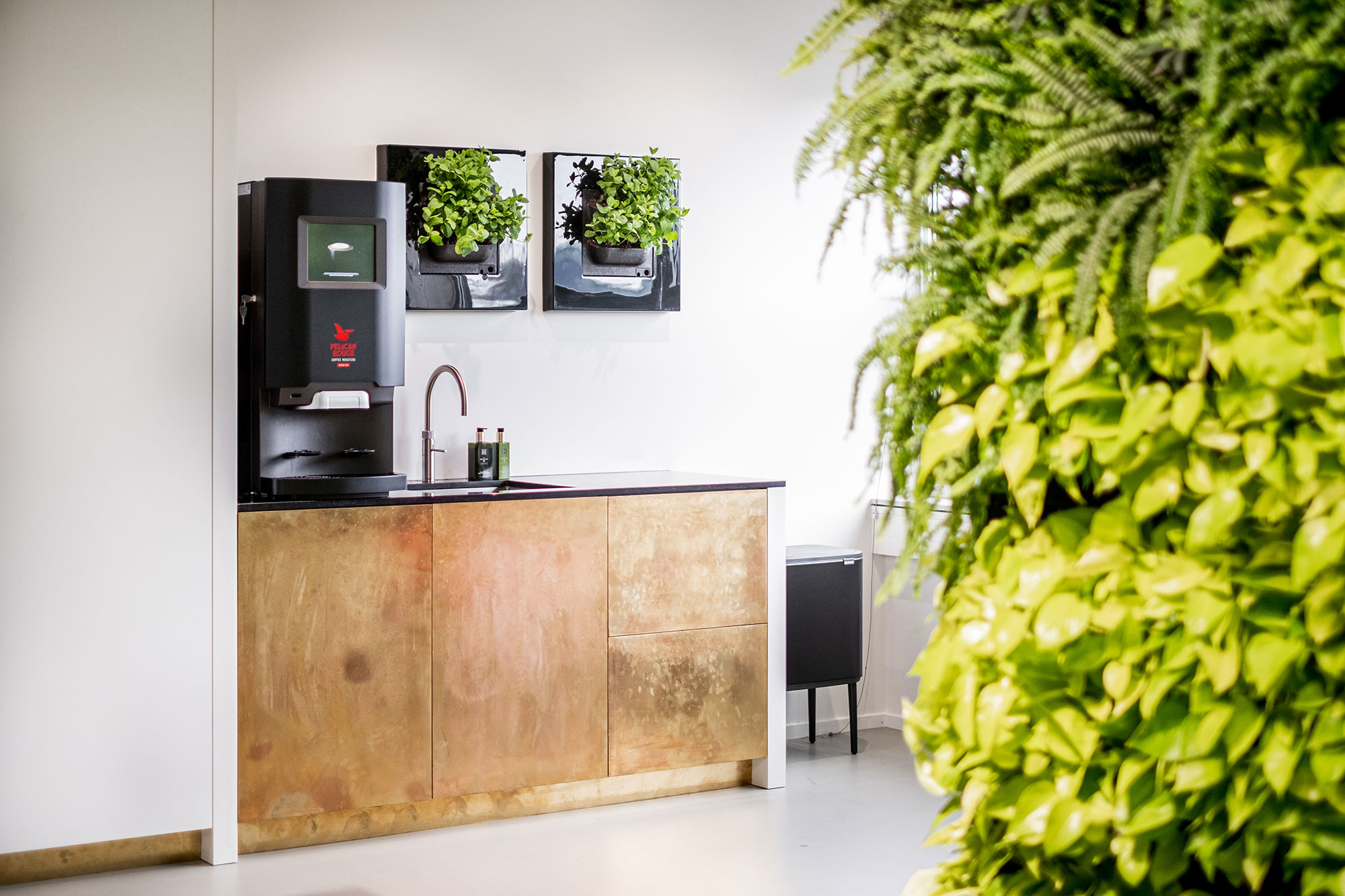 Mobilane-HQ-LivePicture-GO-Kitchen-with-mint-plants